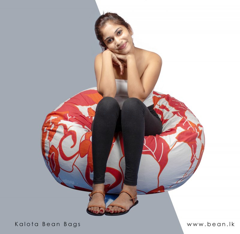 Printed classic Bean Bags